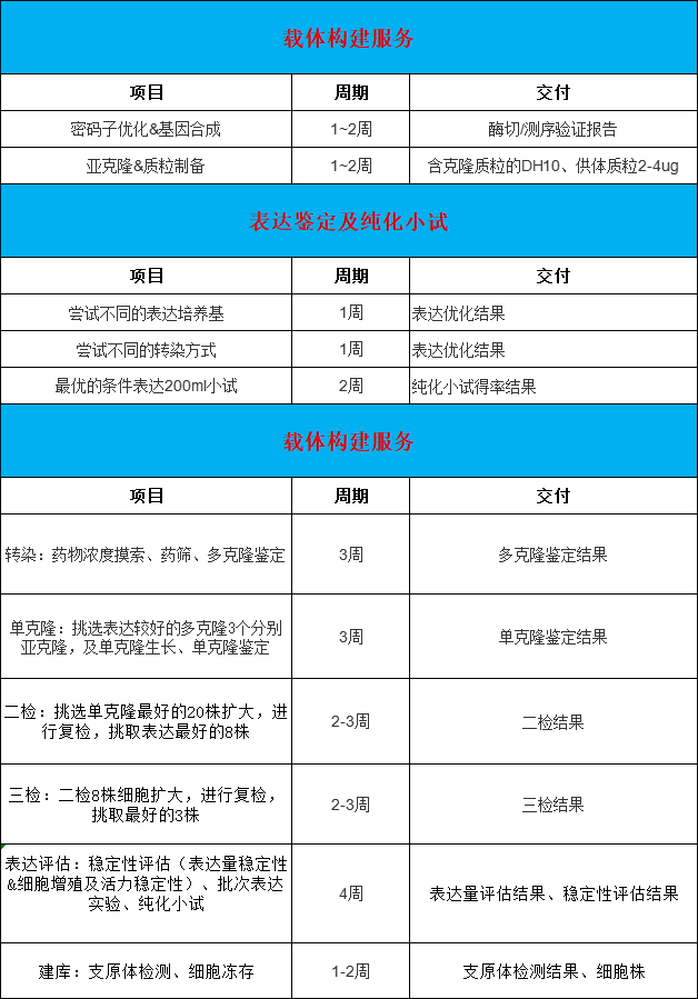 稳定细胞系构建